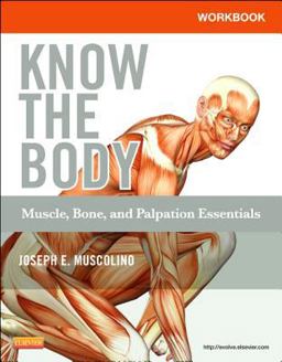 Workbook for Know the Body: Muscle, Bone, and Palpation Essentials  9780323086837 Front Cover
