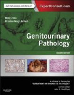 Genitourinary Pathology A Volume in the Series: Foundations in Diagnostic Pathology 2nd 9780323188272 Front Cover