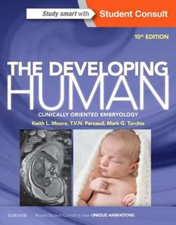 Developing Human Clinically Oriented Embryology 10th 9780323313384 Front Cover