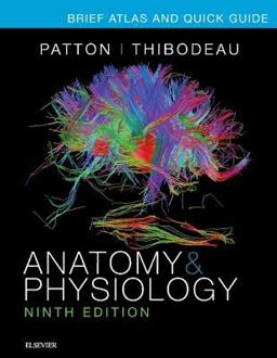 Anatomy and Physiology