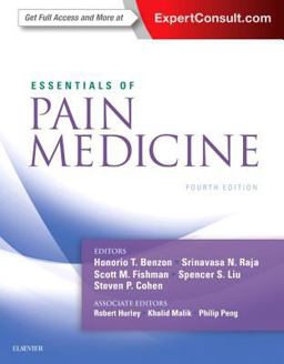 Essentials of Pain Medicine 4th 9780323401968 Front Cover