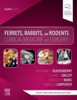 Ferrets, Rabbits, and Rodents Clinical Medicine and Surgery 4th 9780323484350 Front Cover