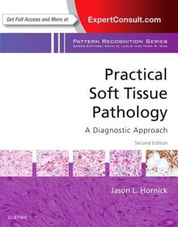 Practical Soft Tissue Pathology: a Diagnostic Approach A Volume in the Pattern Recognition Series 2nd 9780323497145 Front Cover