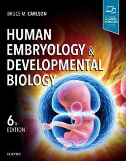 Human Embryology and Developmental Biology 6th 9780323523752 Front Cover