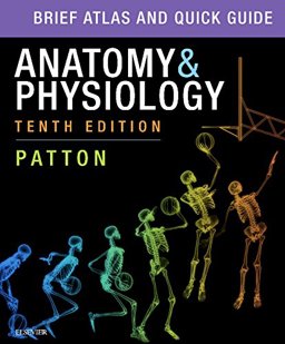 Anatomy and Physiology, Tenth Edition