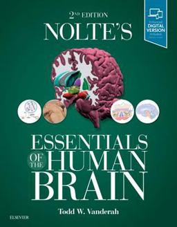 Nolte's Essentials of the Human Brain 2nd 9780323529310 Front Cover