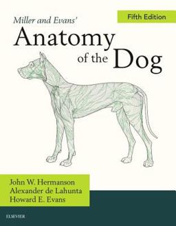 Anatomy of the Dog