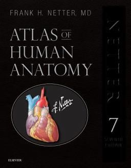 Atlas of Human Anatomy, Professional Edition Including NetterReference. com Access with Full Downloadable Image Bank 7th 9780323554282 Front Cover