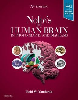 Nolte's the Human Brain in Photographs and Diagrams 5th 9780323598163 Front Cover