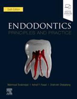 Endodontics Principles and Practice 6th 9780323624367 Front Cover