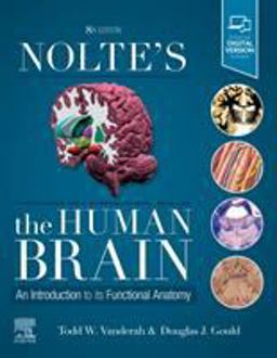 Nolte's the Human Brain An Introduction to Its Functional Anatomy 8th 9780323653985 Front Cover