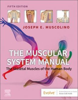 Muscular System Manual The Skeletal Muscles of the Human Body 5th 9780323812757 Front Cover