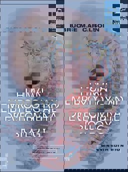 Human Embryology and Developmental Biology 7th 9780323881685 Front Cover