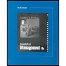 Essentials of Management Sg
