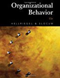 Ie Organizational Behavior
