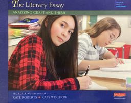 Literary Essay Analyzing Craft and Theme 1st 9780325059501 Front Cover