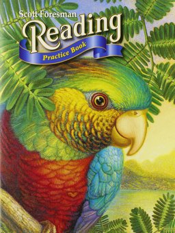 Reading 2004 Practice Book Grade 4