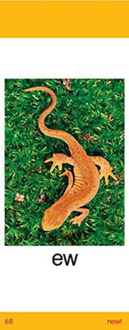 Reading 2011 Sound Spelling Cards Grade 1/3