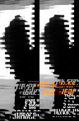 Like A Fiery Elephant  9780330350495 Front Cover