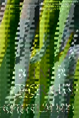 Continent  9780330453318 Front Cover