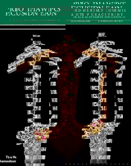 Loss of el Dorado A Colonial History  9780330522847 Front Cover