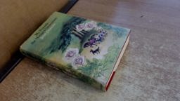 My Friends the Hungry Generation My Friends the Hungry Generation