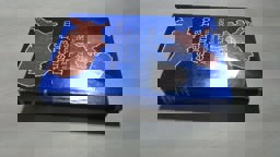 Lessons from America