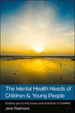 Mental Health Needs of Children &amp; Young People: Guiding You to Key Issues and Practices in CAMHS Guiding You to Key Issues and Practices in CAMHS  9780335263905 Front Cover