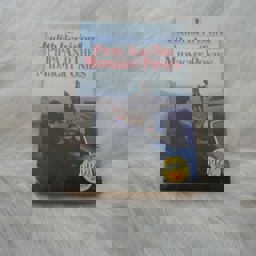 Pippa and the Midnight Ponies