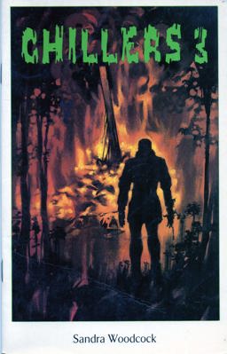 Mill View and the Bonfire