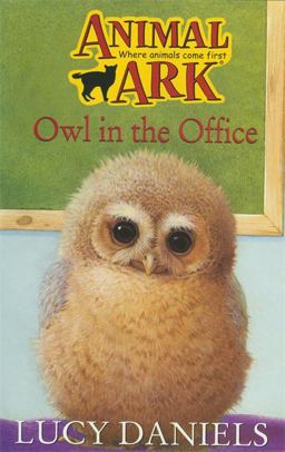 Owl in the Office