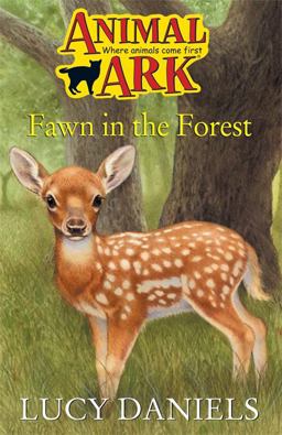 Fawn in the Forest