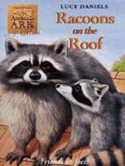 Racoons on the Roof