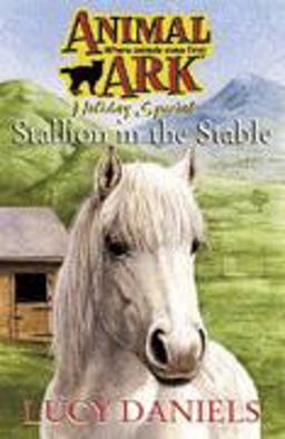 Stallion in the Stable