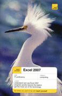 Teach Yourself Excel 2007