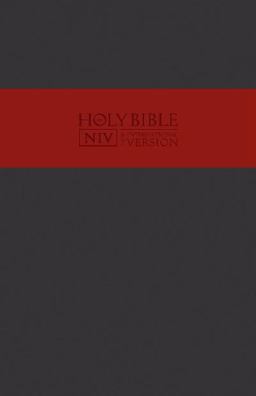 NIV Holy Bible
