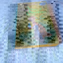 A Case of Conscience