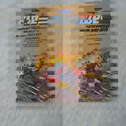 Operation Weapons Disaster