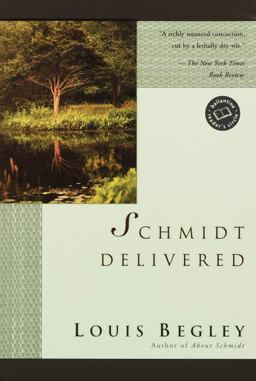 Schmidt Delivered A Novel  9780345440839 Front Cover