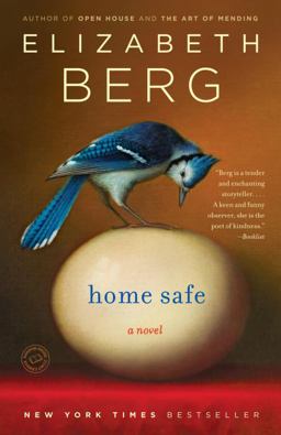 Home Safe A Novel  9780345487551 Front Cover