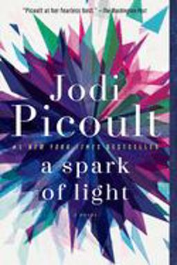 Spark of Light A Novel  9780345545008 Front Cover