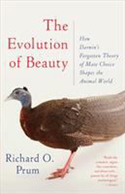 Evolution of Beauty How Darwin's Forgotten Theory of Mate Choice Shapes the Animal World - and Us  9780345804570 Front Cover