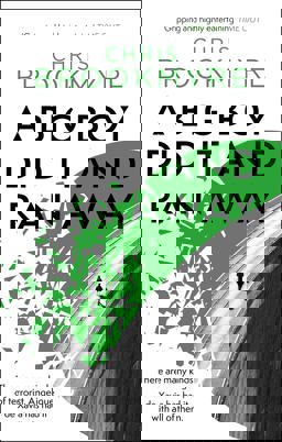 A Big Boy Did It and Ran Away (Abacus Books)  9780349116846 Front Cover