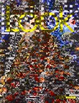 Look 1: Workbook with the Spark Platform (BRE)