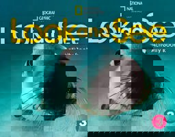 Look and See 3: Activity Book