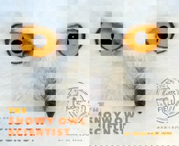 The Snowy Owl Scientist