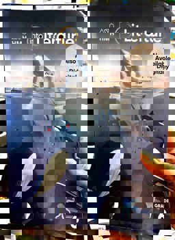 Into Literature Student Edition Softcover 2022  9780358416395 Front Cover