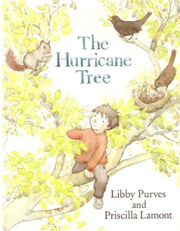 Hurricane Tree