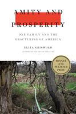Amity and Prosperity One Family and the Fracturing of America  9780374103118 Front Cover