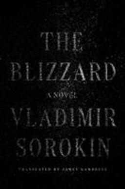 Blizzard A Novel  9780374114374 Front Cover